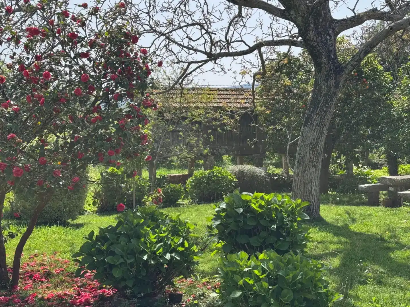 Jardí de Casa o xalet en venda en Meis