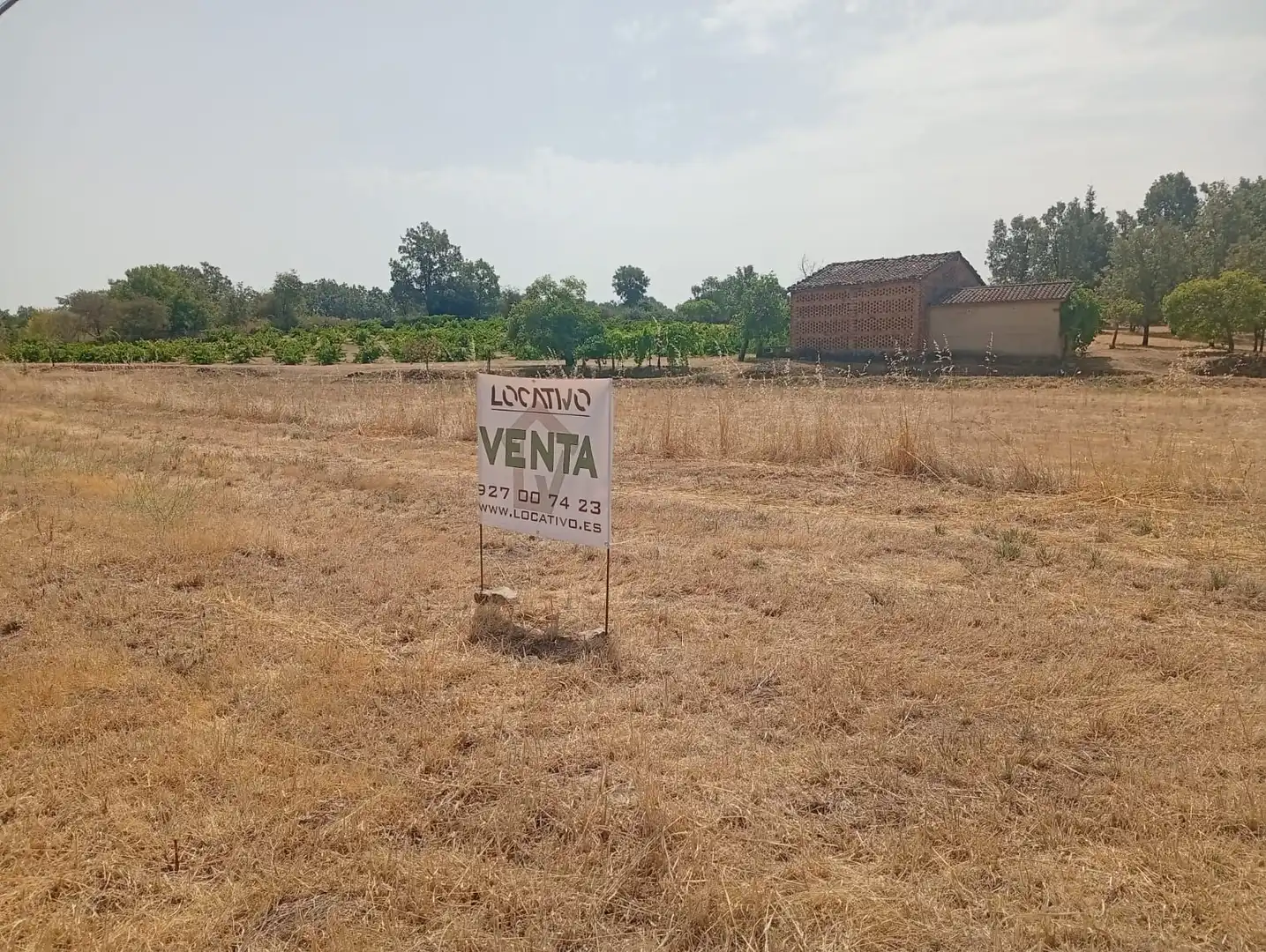 Terreni e lotti in vendita a Villanueva de la Vera