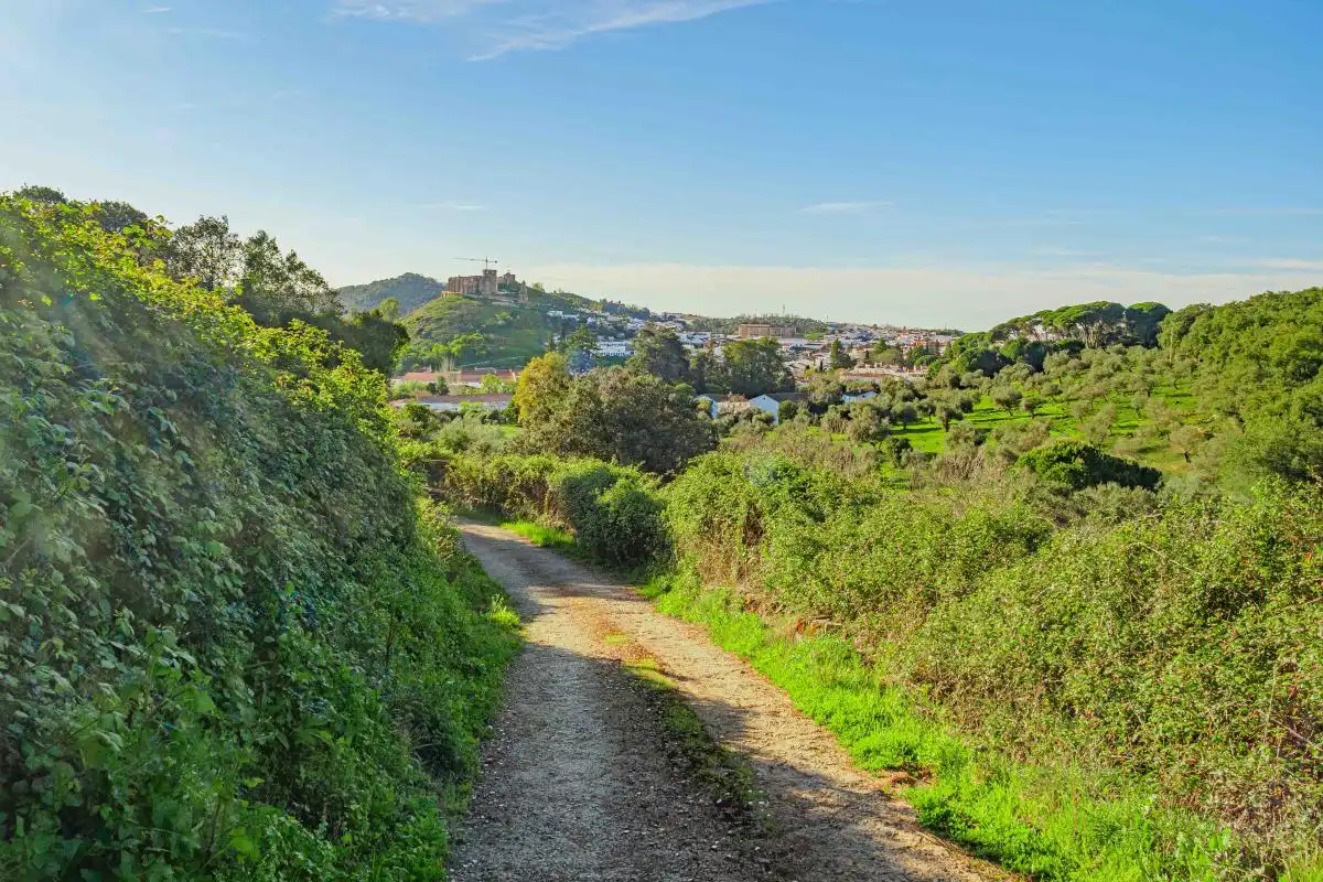 Vista exterior de Finca rústica en venta en Aracena con Aire acondicionado, Calefacción y Jardín privado