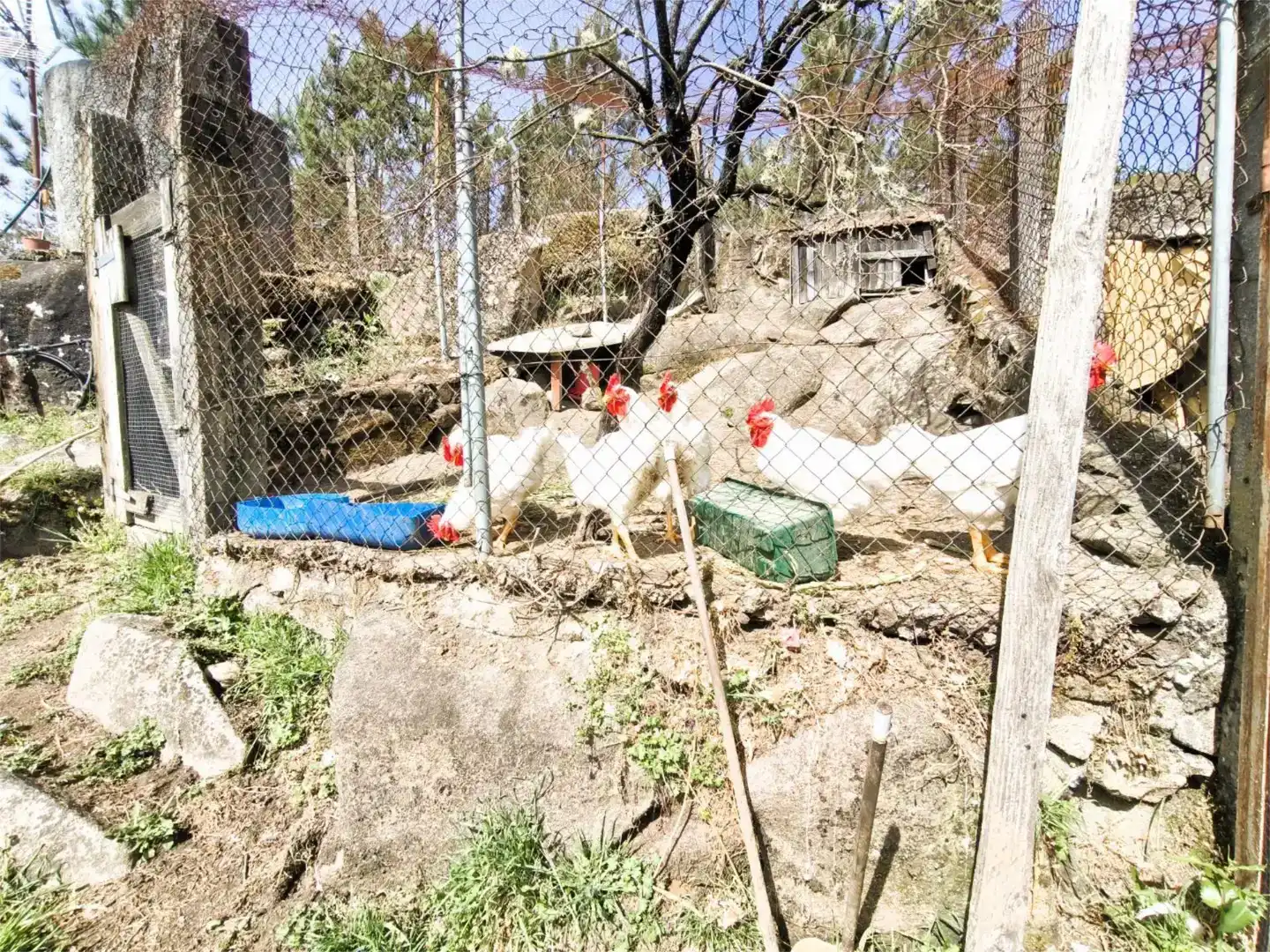 Vista exterior de Casa o xalet en venda en Amoeiro amb Aire condicionat, Piscina i Balcó