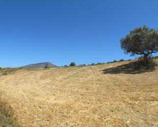 Residencial en venda en Alhaurín de la Torre