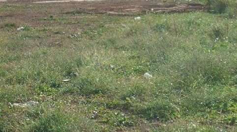 PARCELA AREA 6, imatge 3
