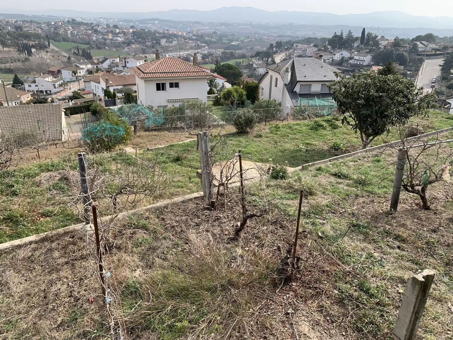 Terrenos y solares en venta en Calle SANTA LAURA, imagen 3