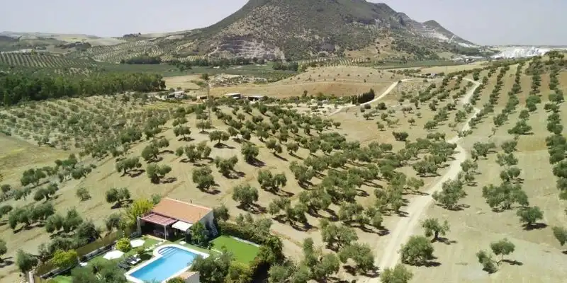 Garden of Land for sale in Morón de la Frontera