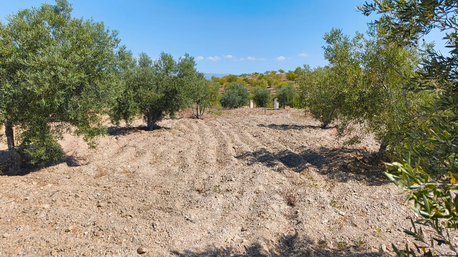 Finca rústica en venda en Turón amb Jardí privat