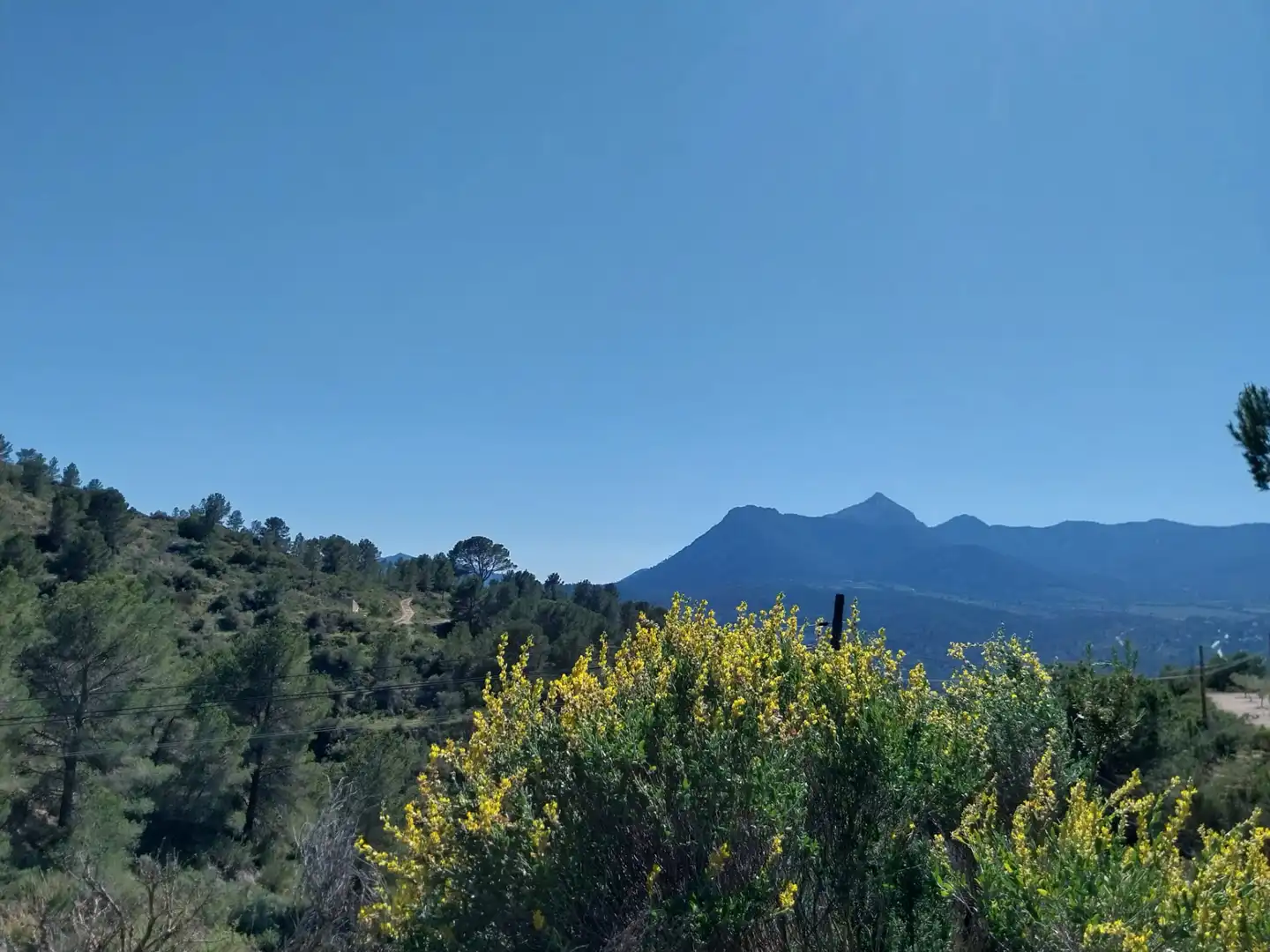 Terreno rustico in vendita a Lugar Castillo, imagen 18