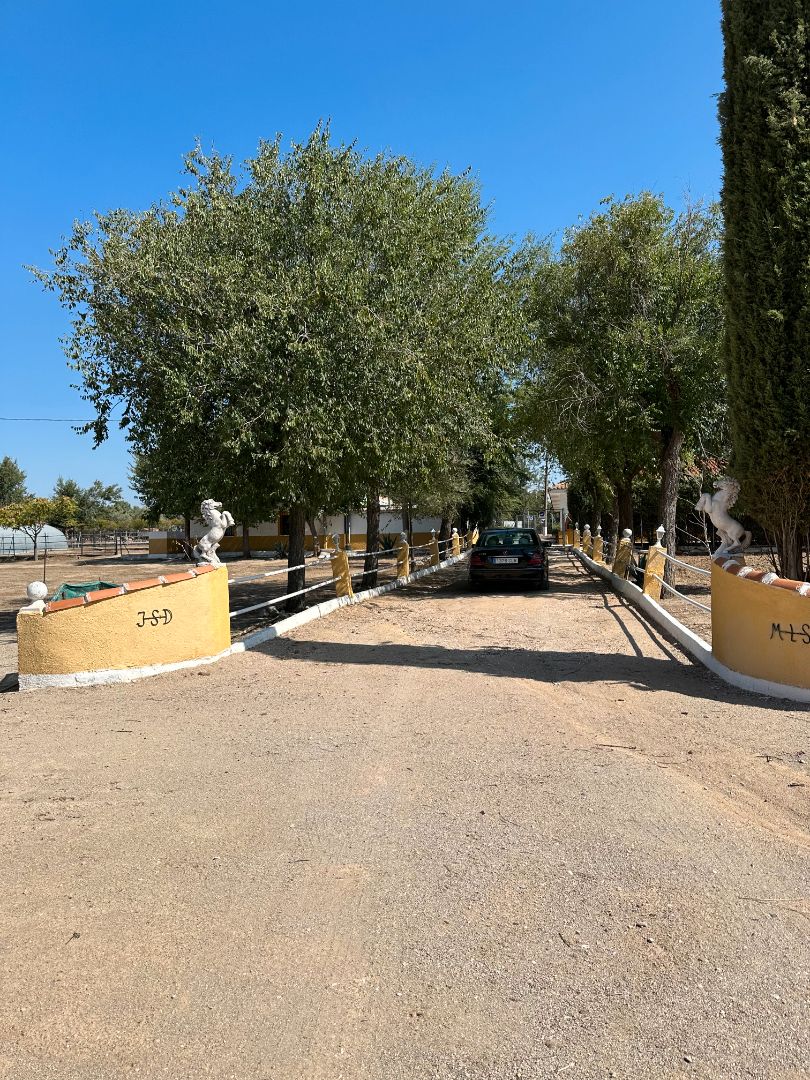 Aparcament de Finca rústica en venda en Cubas de la Sagra amb Aire condicionat, Calefacció i Jardí privat