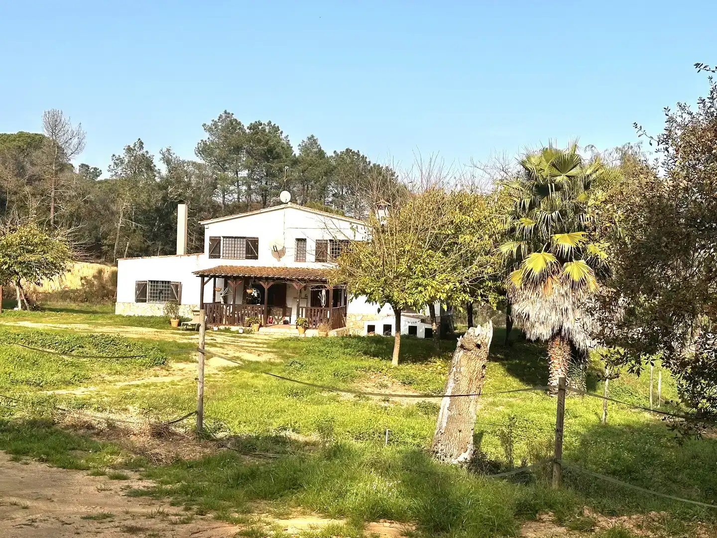 Vista exterior de Finca rústica en venda en Maçanet de la Selva