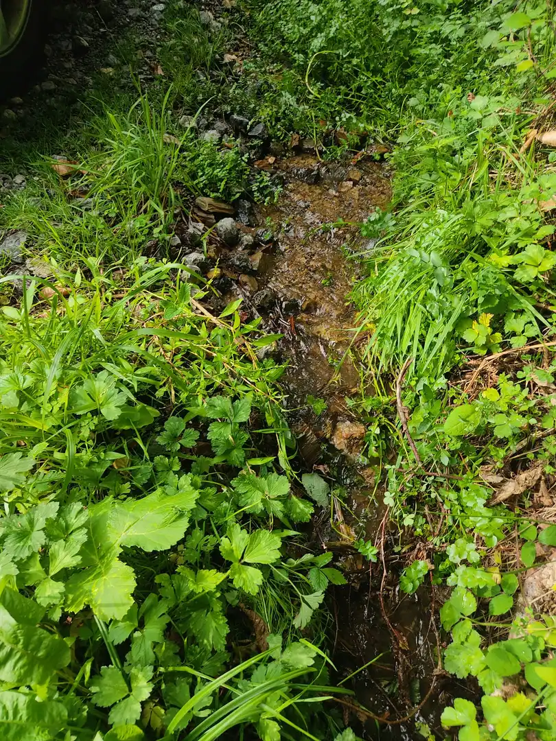 Terreni e lotti in vendita a Castroverde, imagen 6