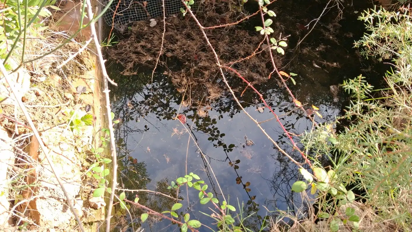 Piscina de Terreno en venta en Pratdip