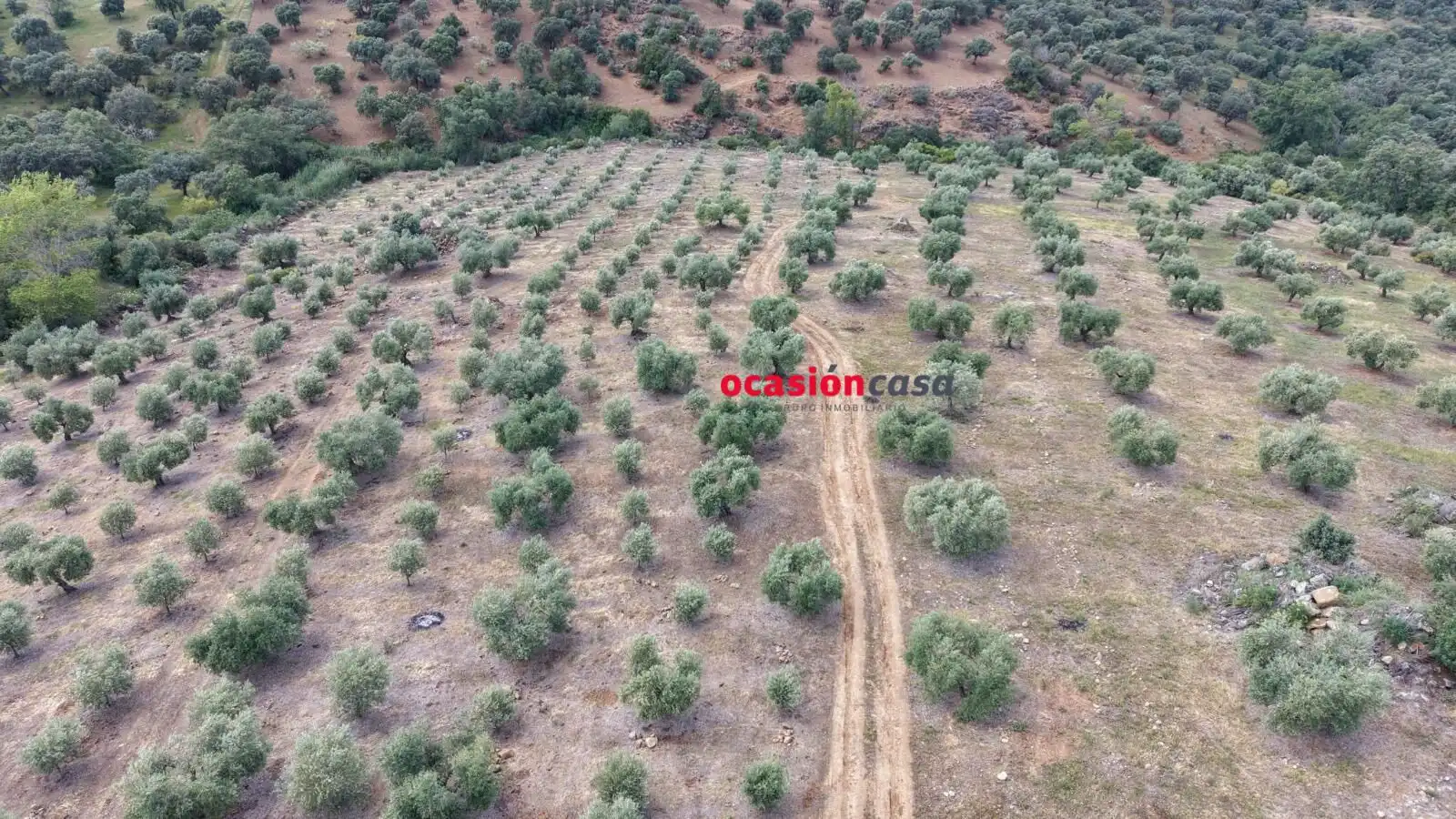 Residential land for sale in Fuente Obejuna, imagen 8