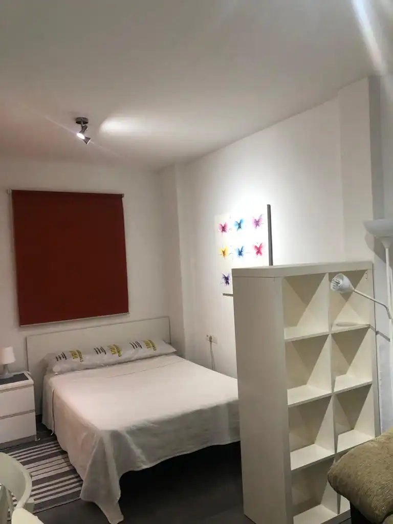 Studio avec ascenseur à louer à Calle Portería de Santo Domingo, imagen 4