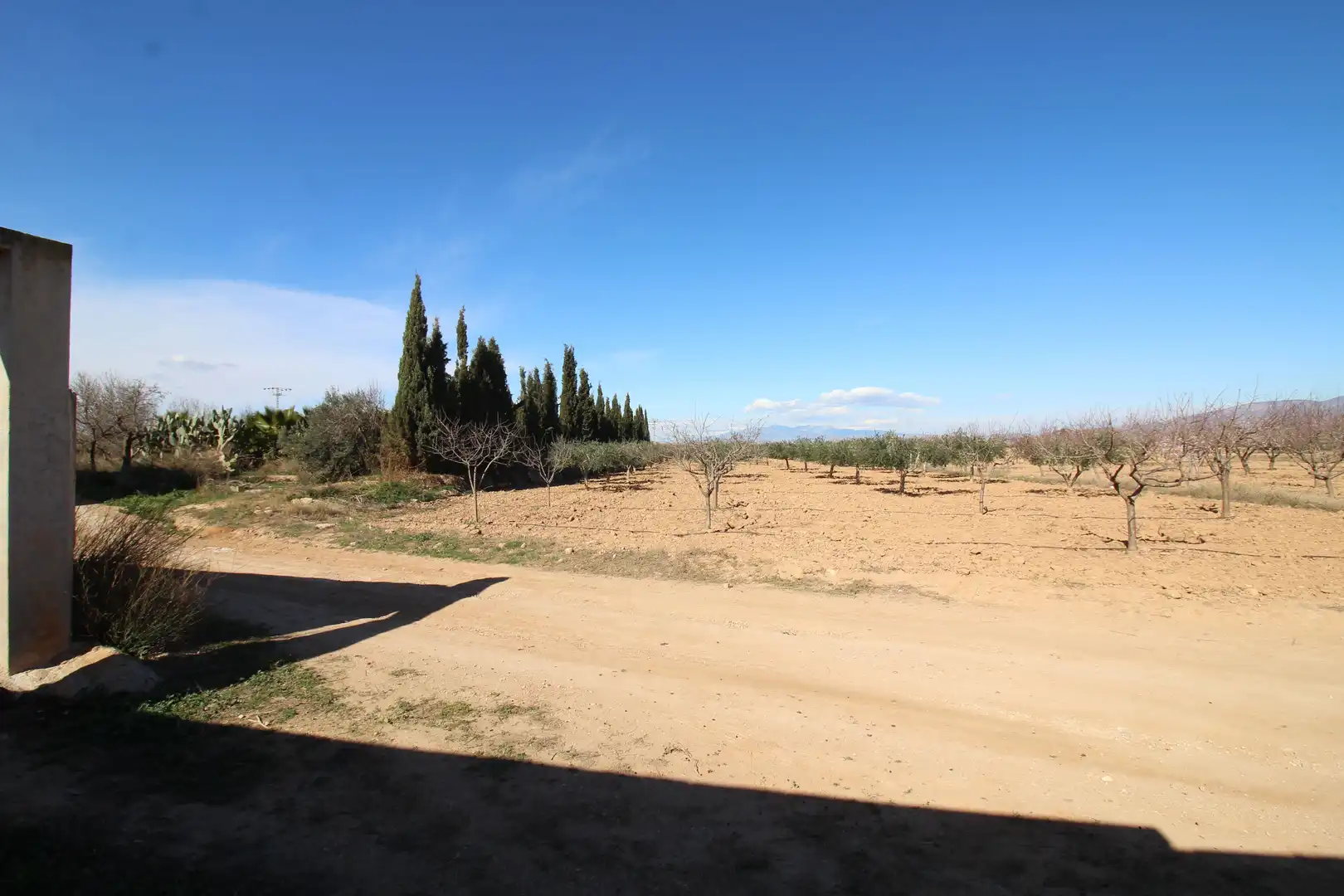 Casa amb jardí en venda a La Pinilla - Las Palas, imagen 28