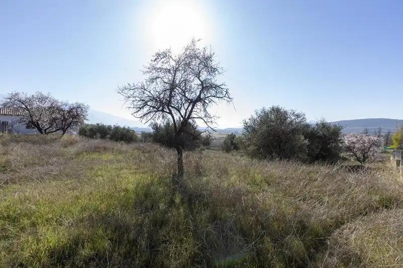 Terreni e lotti in vendita a Padul