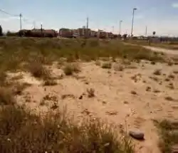 Terreno rústico en venta en C/ la Cort, imagen 6