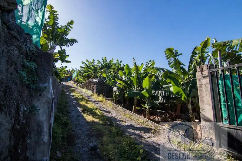 Vista exterior de Finca rústica en venta en Puerto de la Cruz