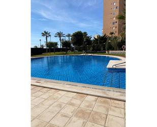 Swimming pool of Flat for sale in El Campello  with Swimming Pool and Balcony