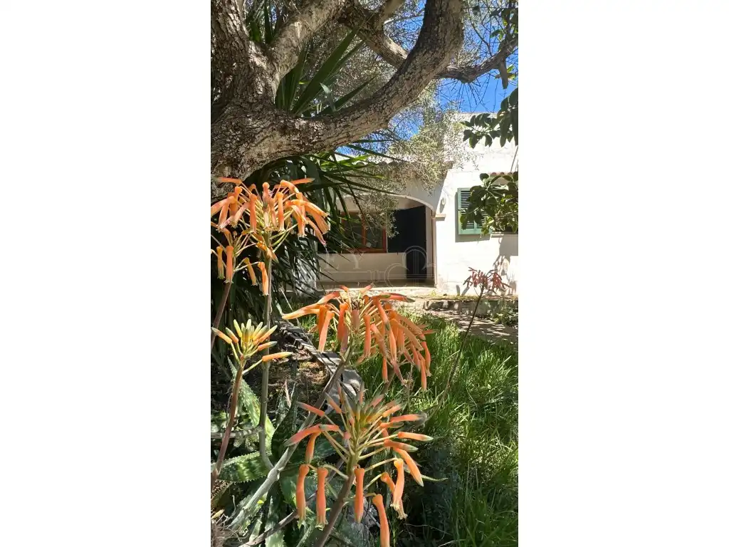 Casa rústica con jardín en venta en Cala d'en Bosch - Serpentona, imagen 12