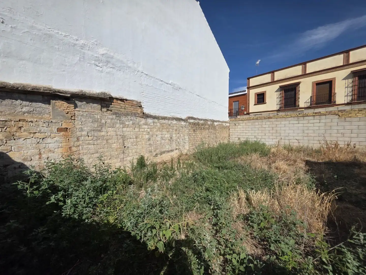 Terrenys i solars en venda a Olivares
