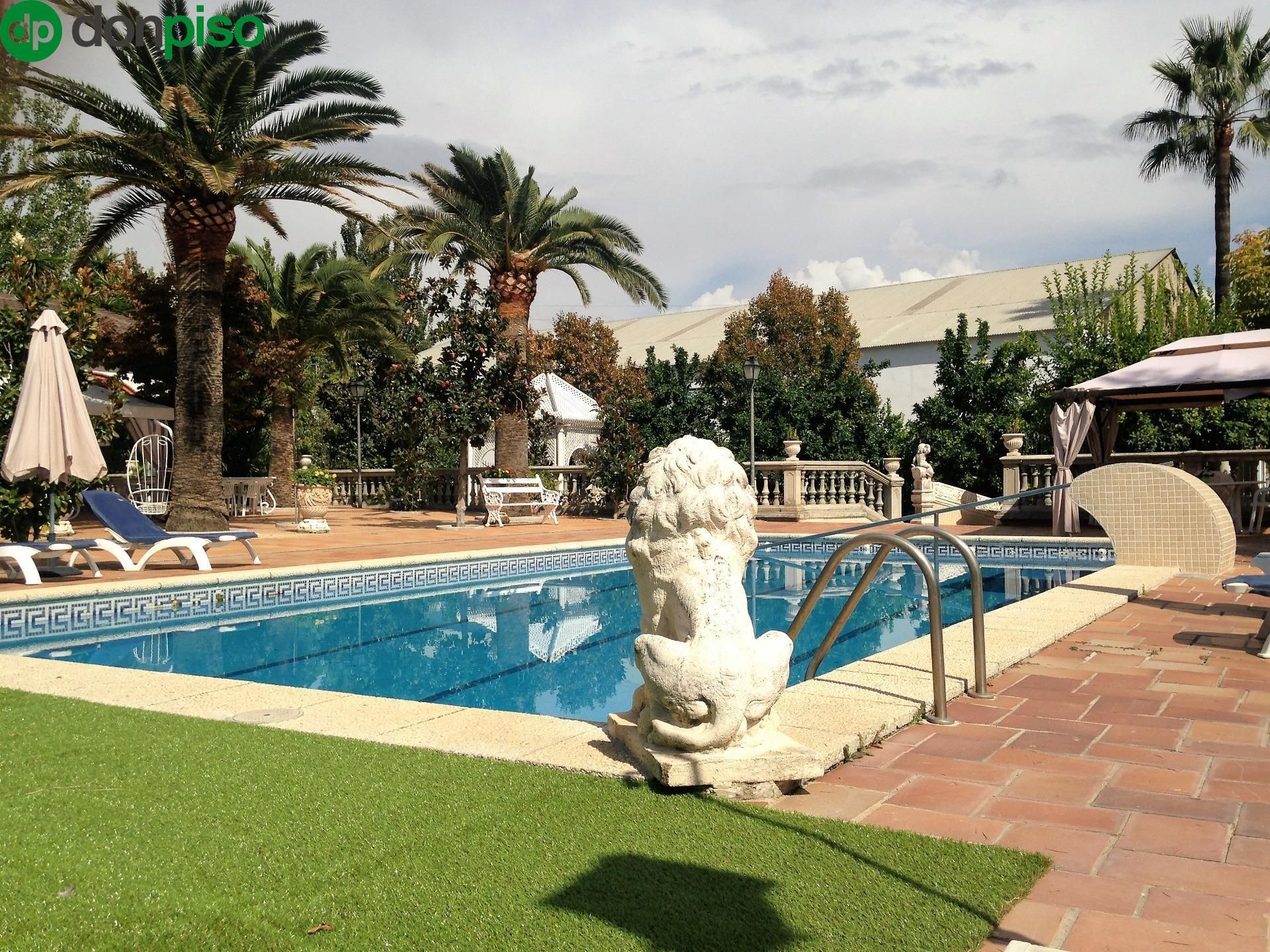Piscina de Finca rústica en venda en Cúllar Vega amb Aire condicionat, Calefacció i Jardí privat