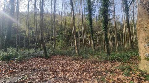 Foto 4 de Casa o xalet en venda a Aduna, Gipuzkoa