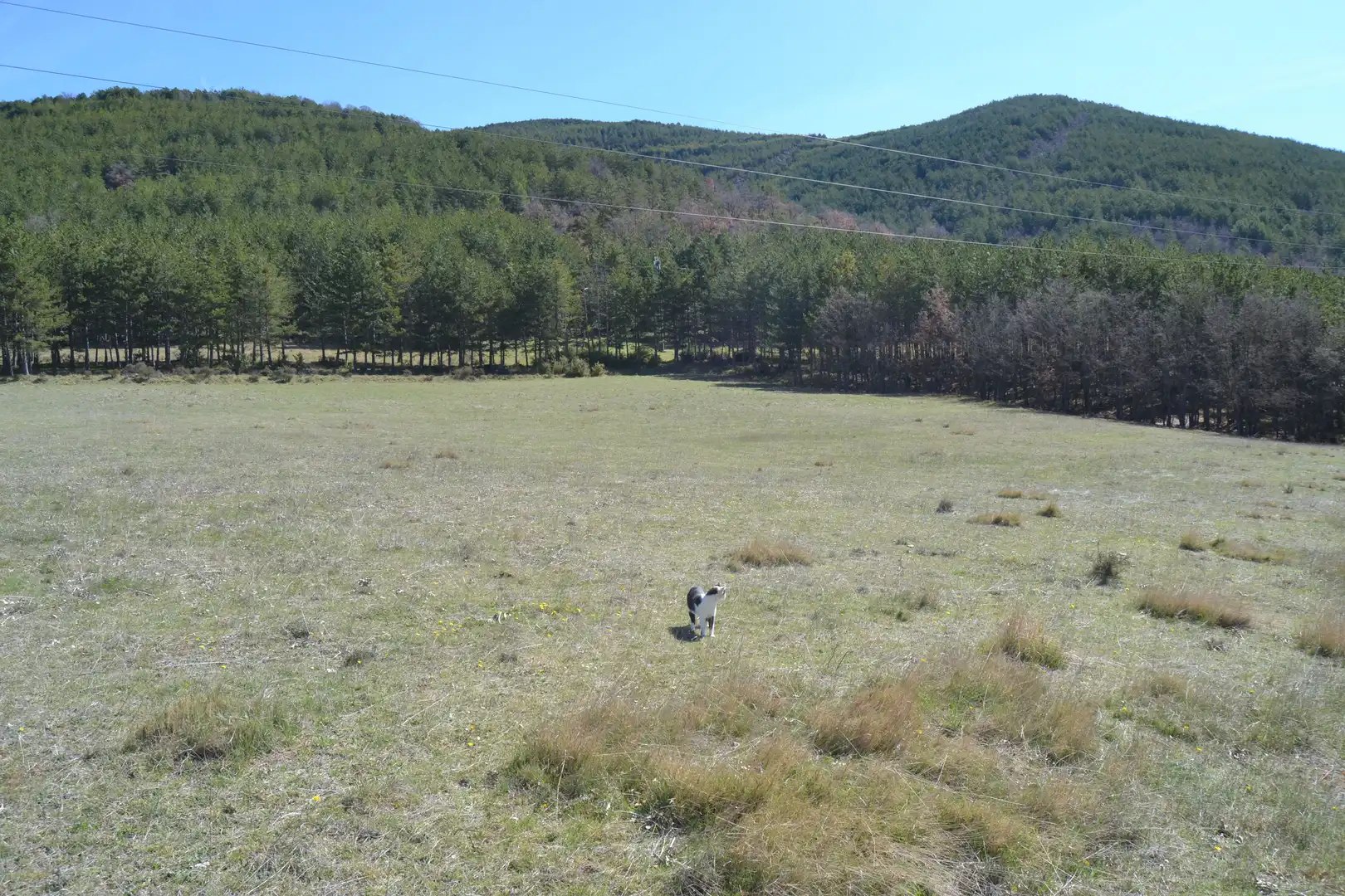 Terreni e lotti in vendita a Poblaciones norte, imagen 13