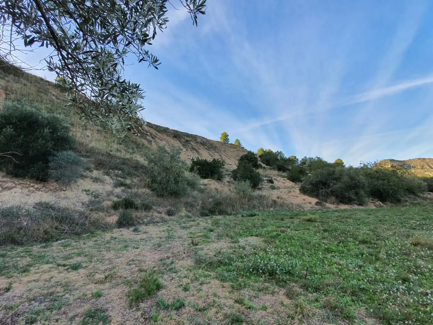 Terrain résidentiel à vendre à Xerta, imagen 20