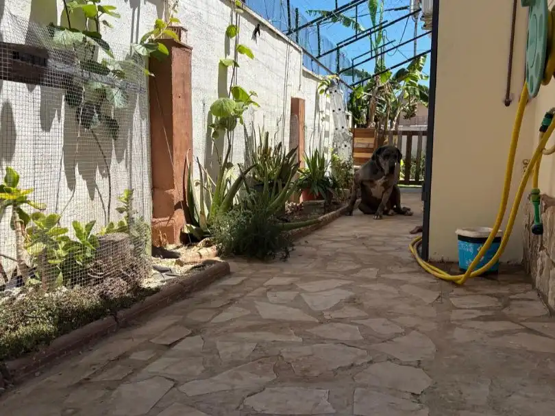 Terrassa de Casa o xalet en venda en Vinaròs amb Aire condicionat, Calefacció i Jardí privat