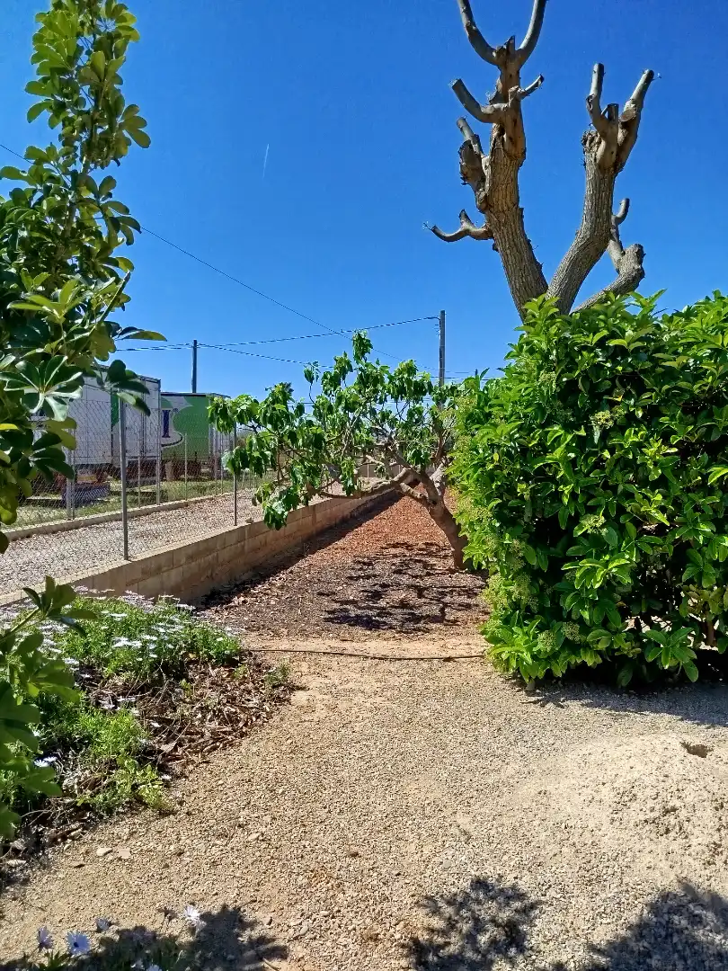 Terreno residencial en venta en Pueblo, imagen 14