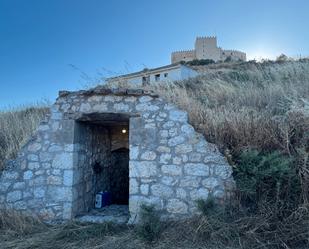 Exterior view of Country house for sale in Curiel de Duero  with Furnished
