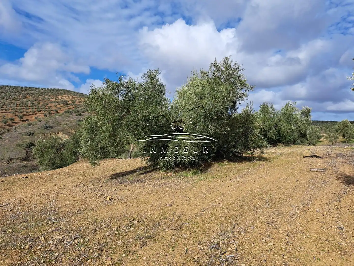Terrenys i solars en venda a Benamejí, imagen 2