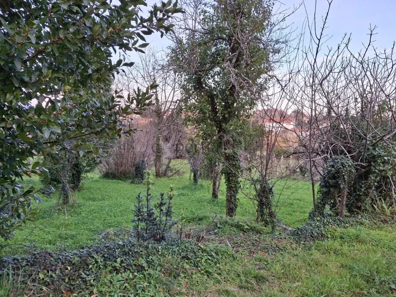 Rustikales Grundstück zum Verkauf in Boiro, imagen 4