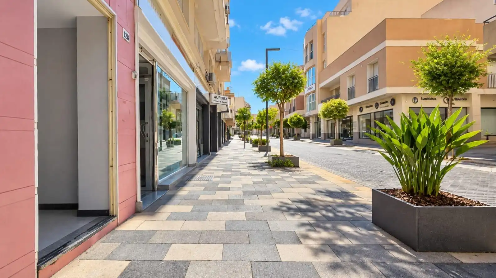 Local commercial à vendre à El Ejido Ciudad, imagen 57