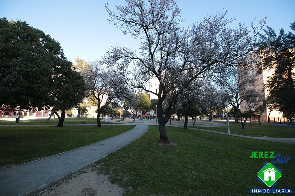 Vista exterior de Pis de lloguer en Jerez de la Frontera amb Aire condicionat, Terrassa i Moblat