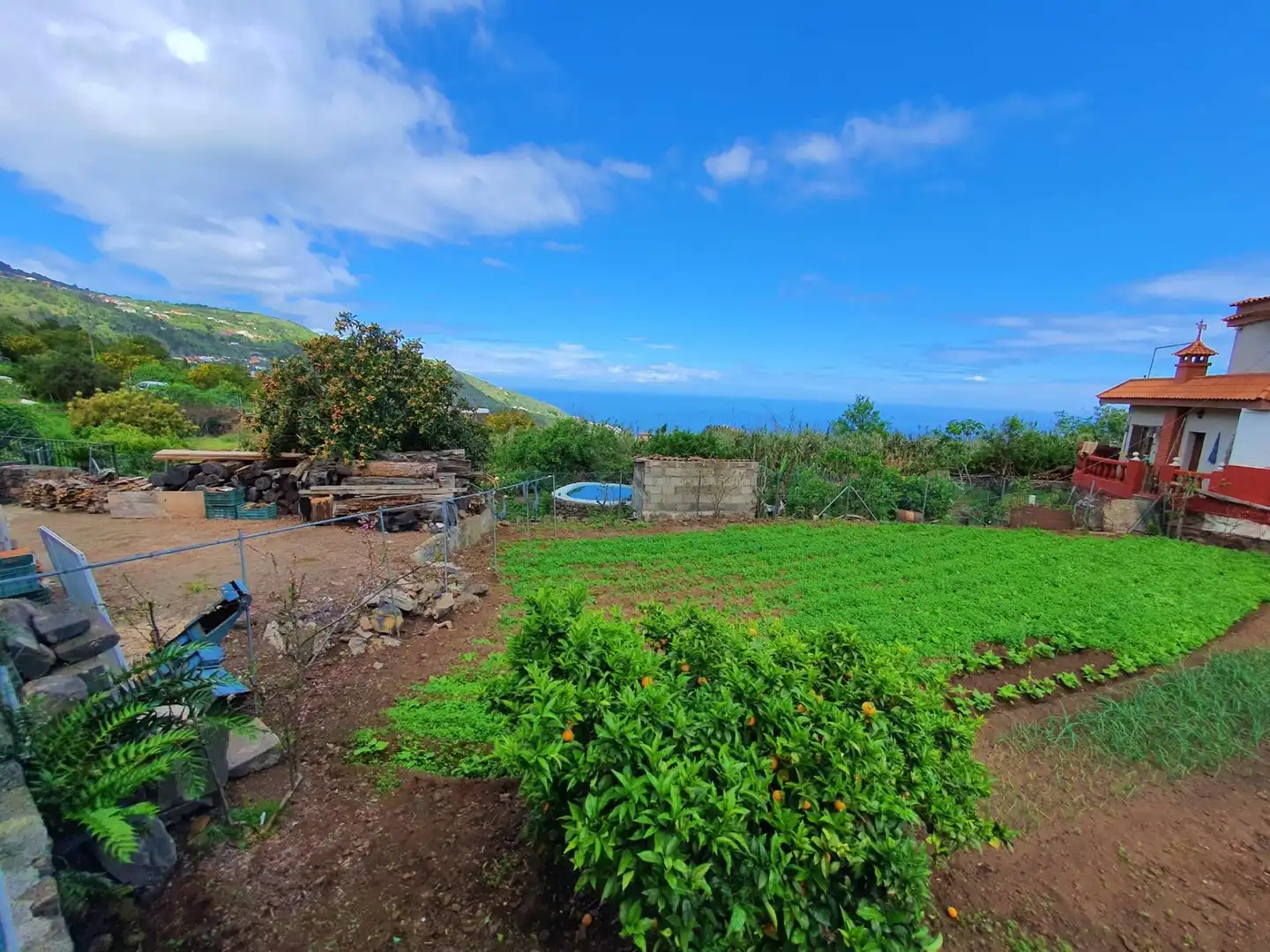 Jardín de Finca rústica en venta en Icod de los Vinos con Jardín privado, Terraza y Trastero