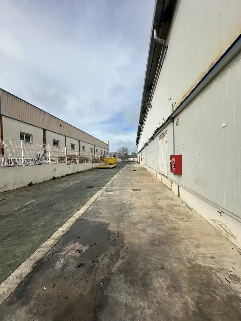 Exterior view of Industrial buildings for sale in Llucmajor