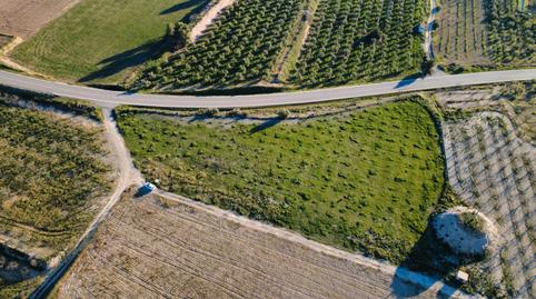 Foto 2 von Grundstücke zum Verkauf in Les Borges Blanques, Lleida