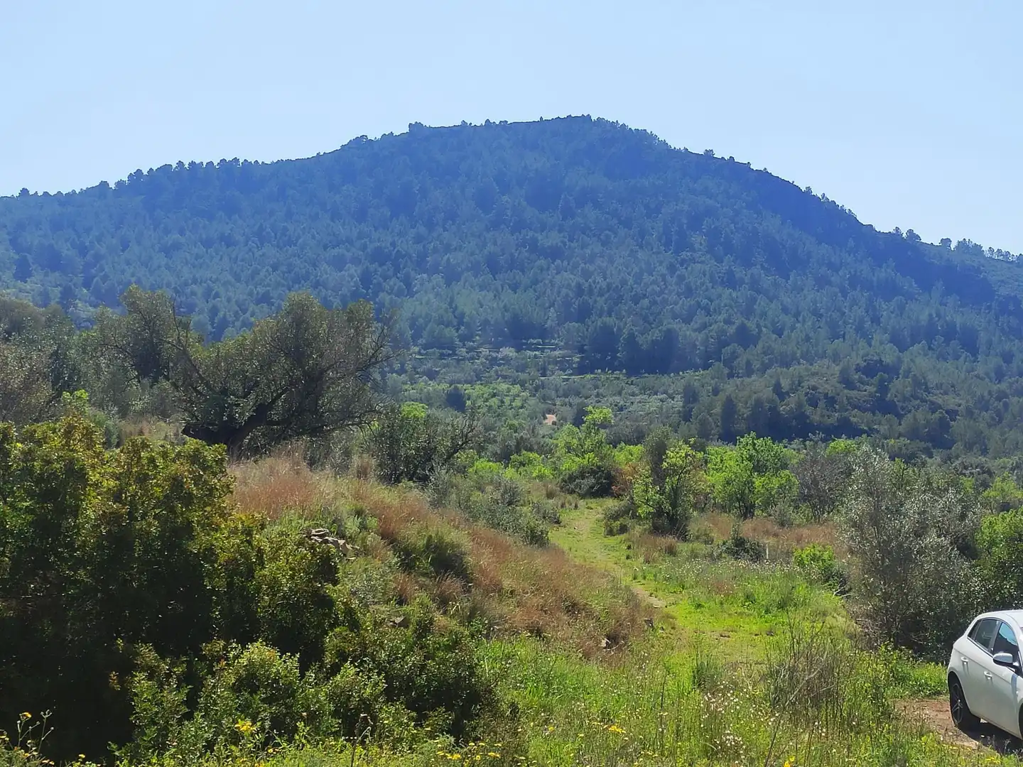Residencial en venda en Azuébar