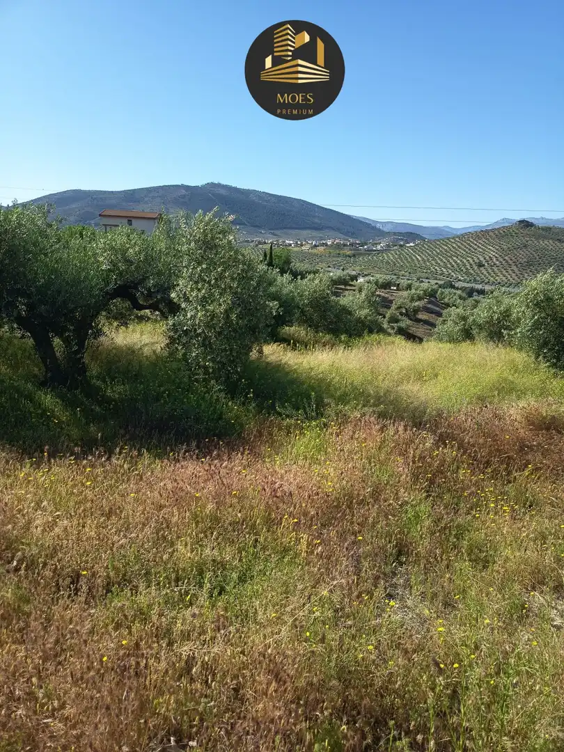 Country house for sale in Puente Tablas - Puente Nuevo - Cerro Molina, imagen 3