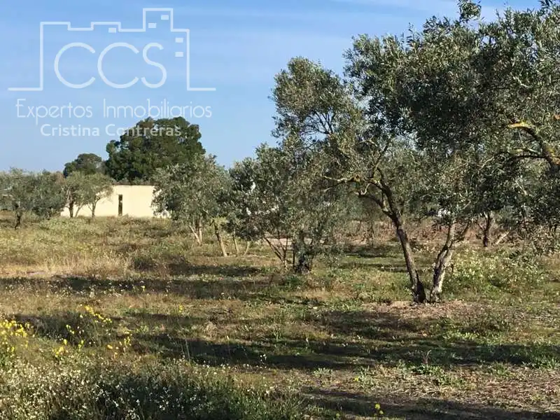 Finca rústica en venta en Almonte