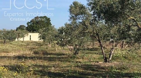 Foto 4 de Finca rústica en venta en Almonte ciudad, Almonte