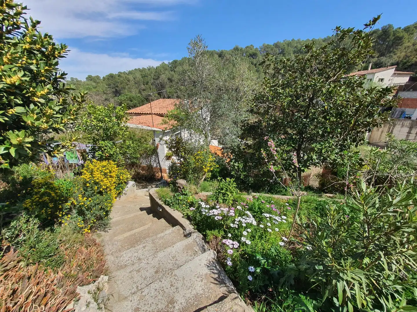 Jardí de Casa o xalet en venda en Sant Cugat del Vallès amb Calefacció, Jardí privat i Terrassa