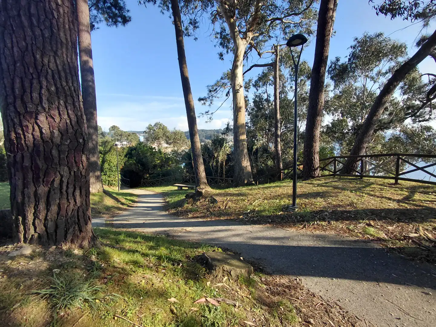 Vista exterior de Casa o chalet en venta en Oleiros con Calefacción, Jardín privado y Parquet