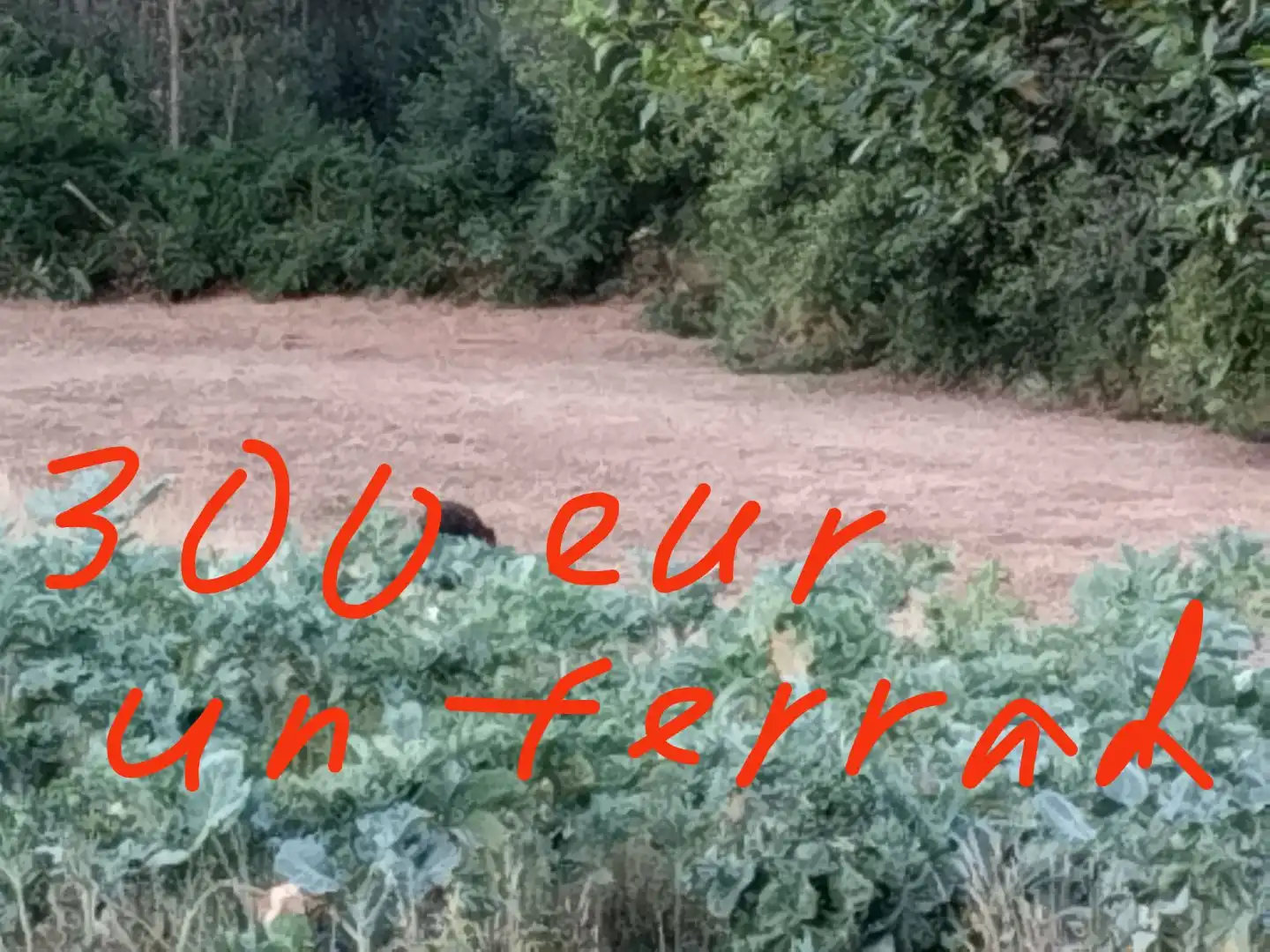 Land for sale in Cerdido