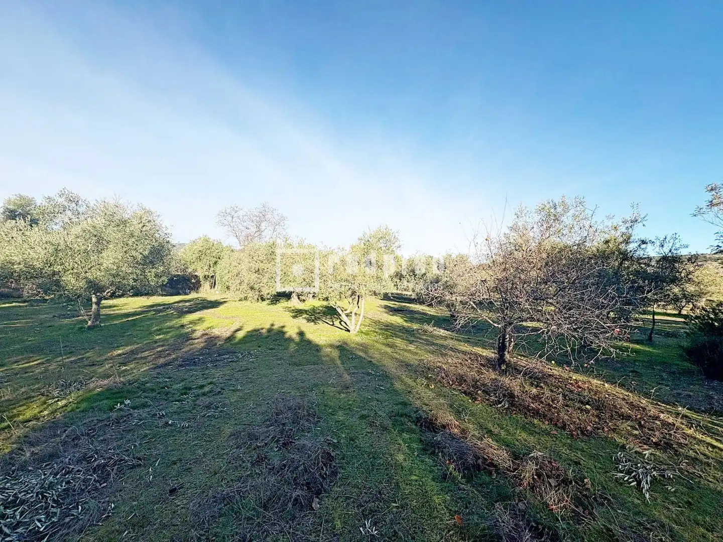 Casa amb jardí en venda a Diseminados, imagen 35