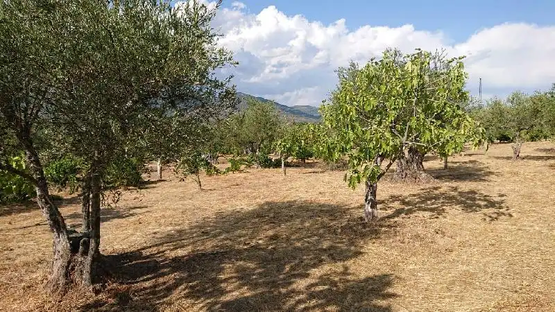 Terreni e lotti in vendita a Tejeda de Tiétar, imagen 14