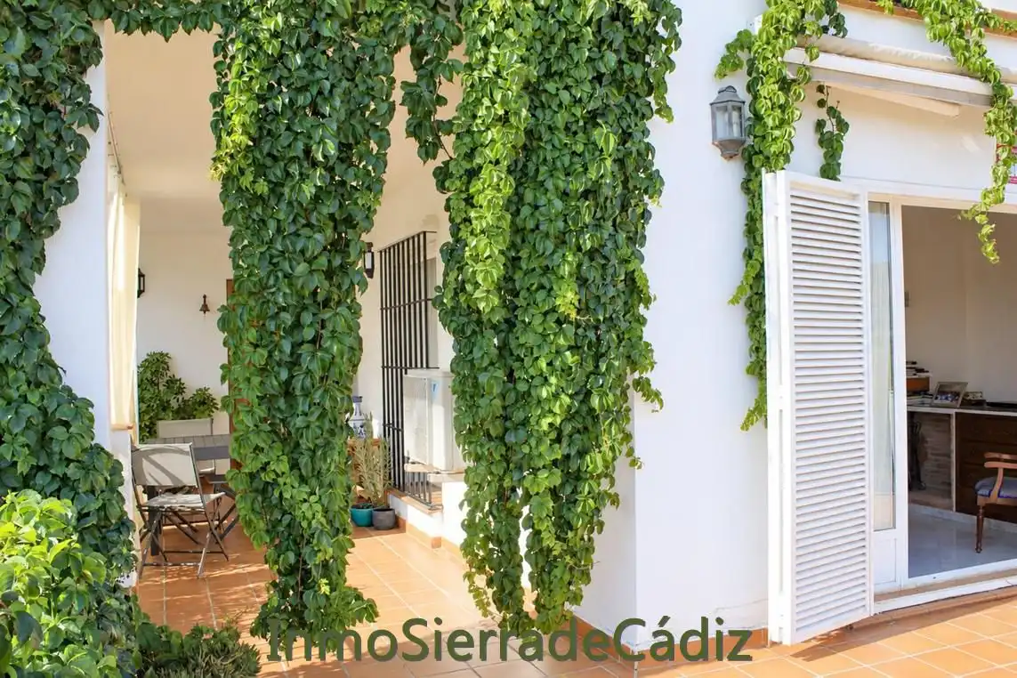 Jardí de Casa o xalet en venda en Zahara, Cádiz