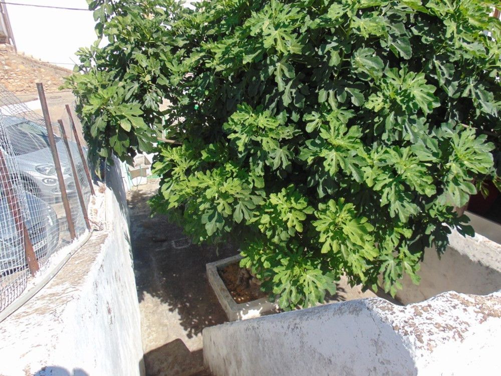 Exterior view of House or chalet for sale in La Puebla de los Infantes  with Air Conditioner, Heating and Terrace