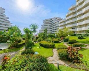 Vista exterior de Estudi de lloguer en Benalmádena amb Aire condicionat, Jardí privat i Terrassa