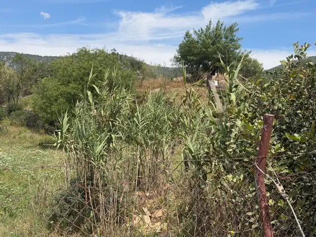 Terrain rustique à vendre à Lugar Tavizna, imagen 13